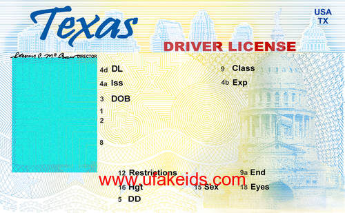 tx fake id template