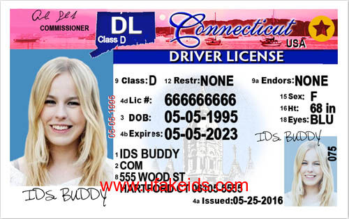 CONNECTICUT fake id