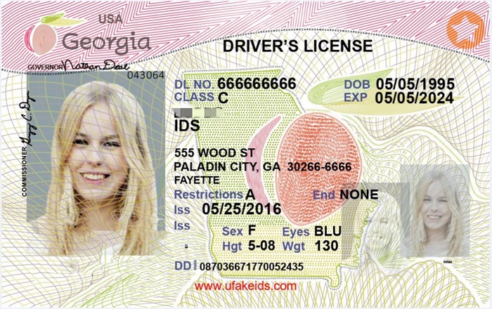 GEORGIA Faek ID