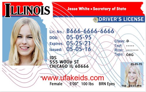 illinois fake id