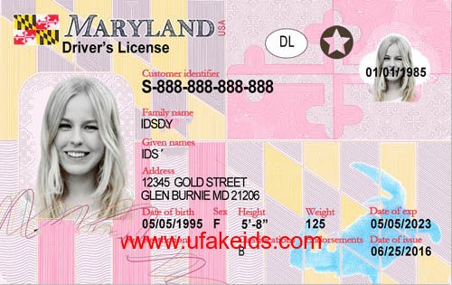 MARYLAND Fake ID