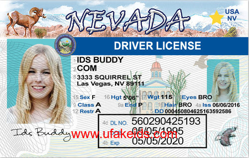 NEVADA Fake ID