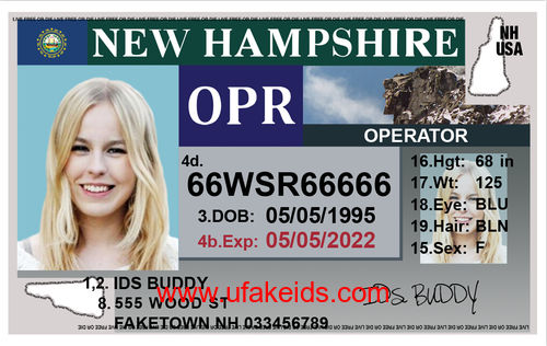NEW HAMPSHIRE Fake ID