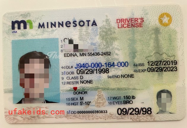 MINNESOTA Fake ID