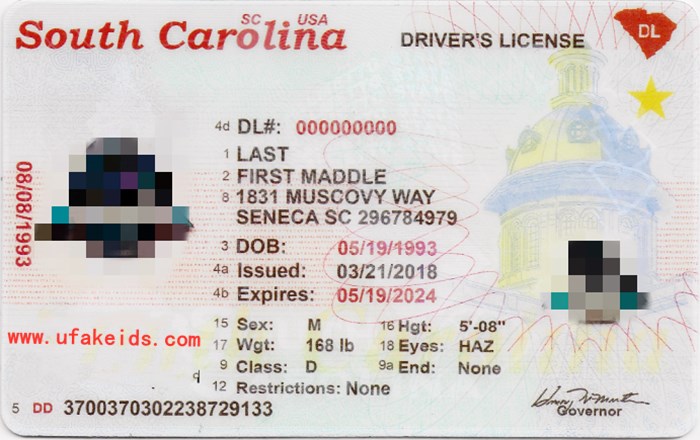 New South Carolina Faek ID