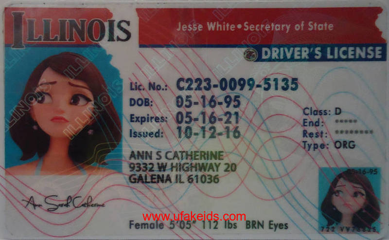 ILLINOIS fake id