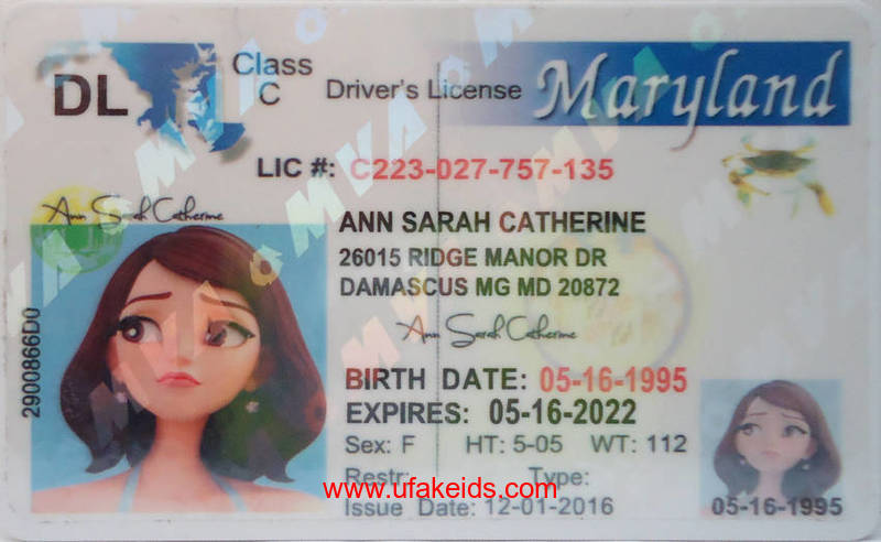 MARYLAND fake id