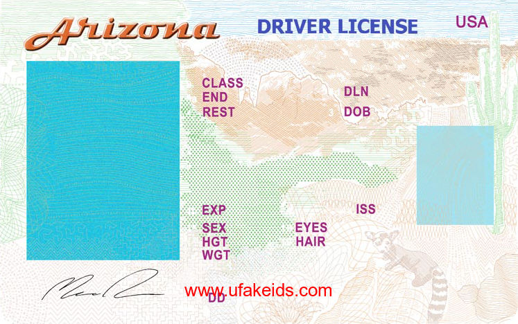 Arizona Fake ID Template
