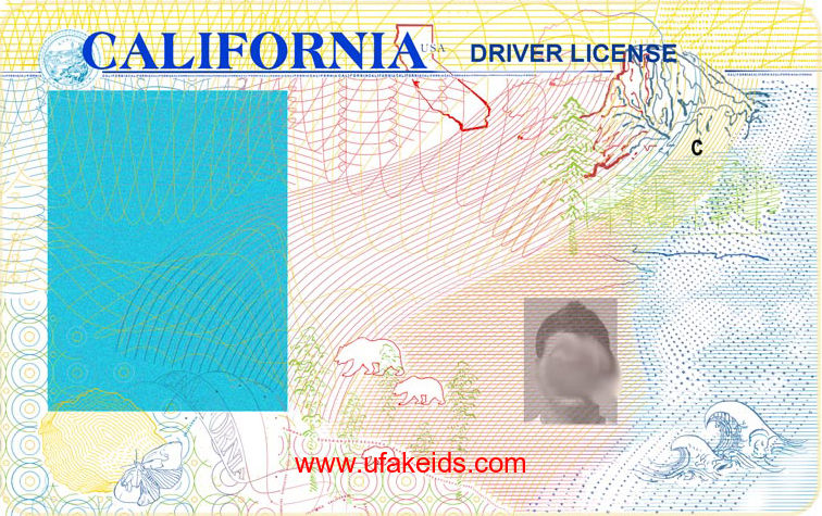 California Fake ID Template