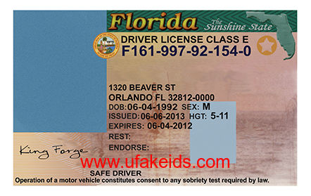 Florida Fake ID Template