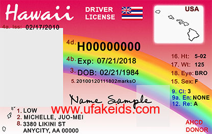 Hawaii Fake ID Template