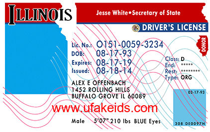 Illinois Fake ID Template