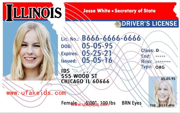 Buy Illinois Fake ID