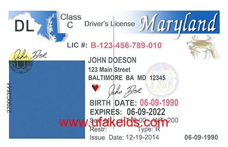 Maryland Fake ID Template