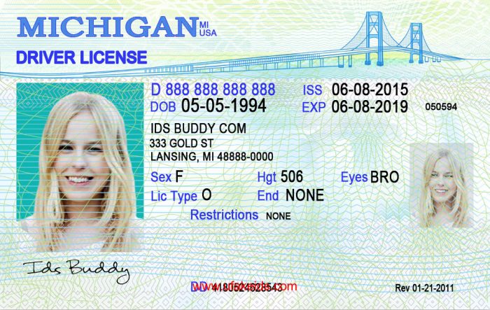 Best Fake Id Websites