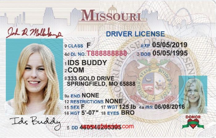 buy missouri fake id buy best fake ids make a fake id online make a fake license online