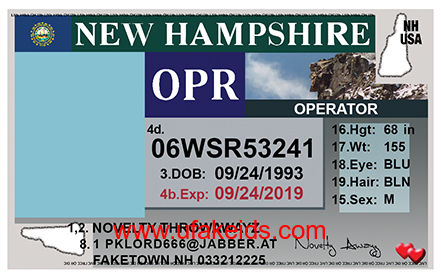 New Hampshire Fake ID Template