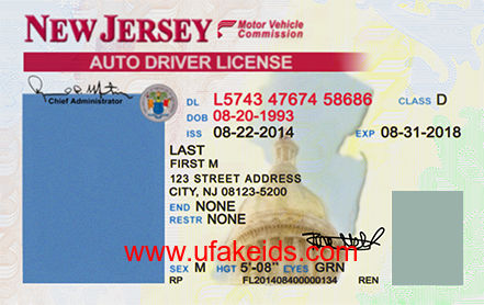 New Jersey Fake ID Template