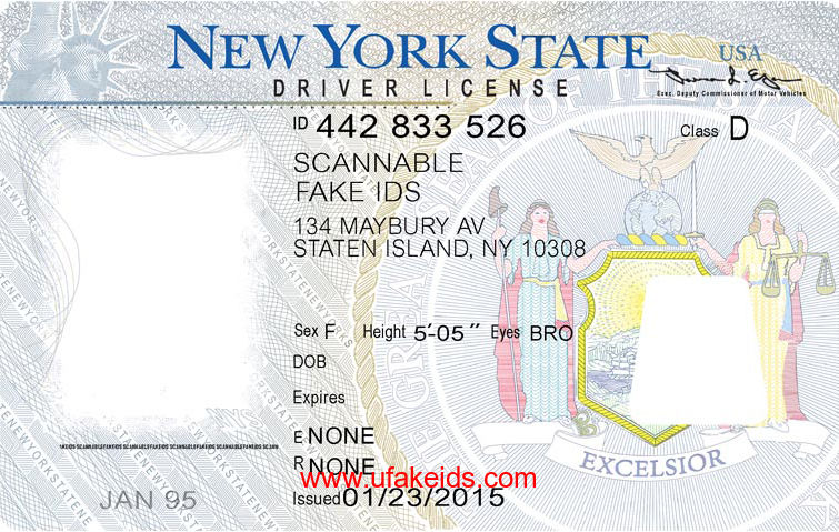 New York Fake ID Template