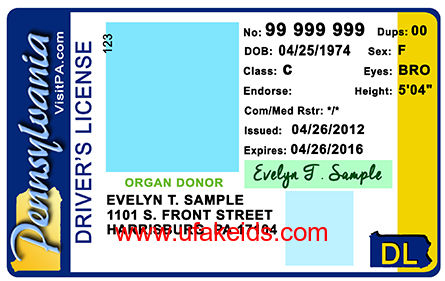 Pennsylvania Fake ID Template