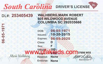 South Carolina Fake ID Template