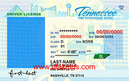 Tennessee Fake ID Template
