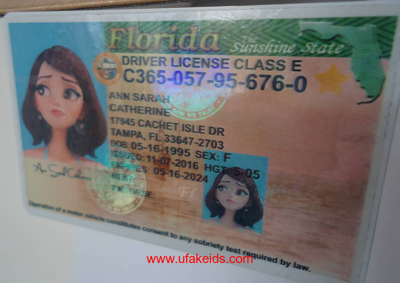 Florida Driver License