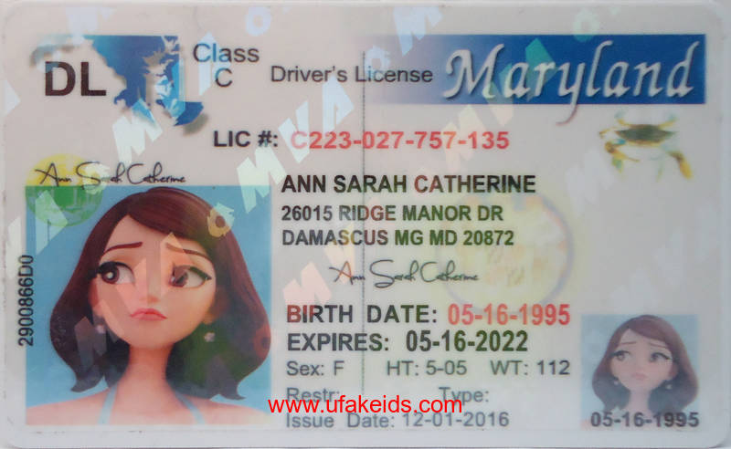 maryland fake id