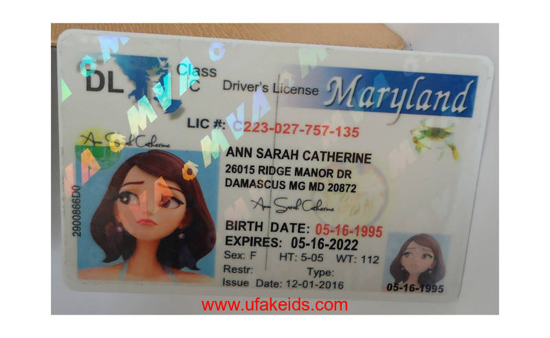 Maryland Driver License