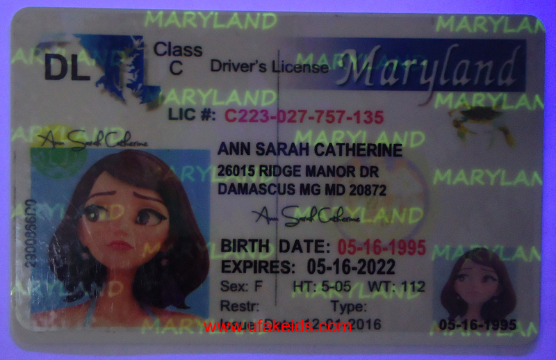 maryland fake ids