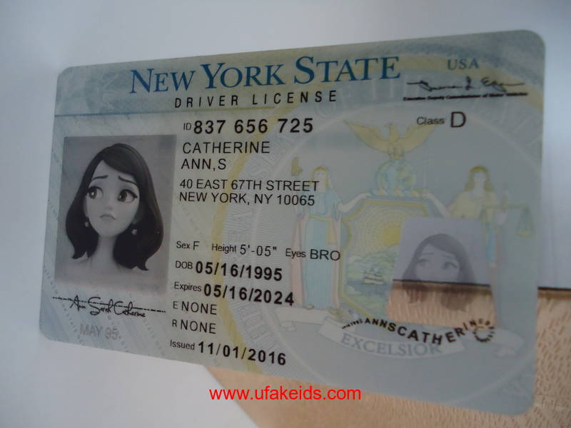 New York Driver License