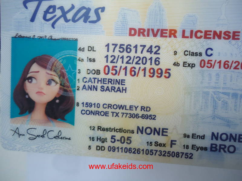 Texas Driver License