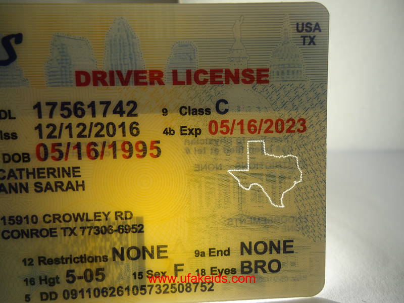 Texas Driver License