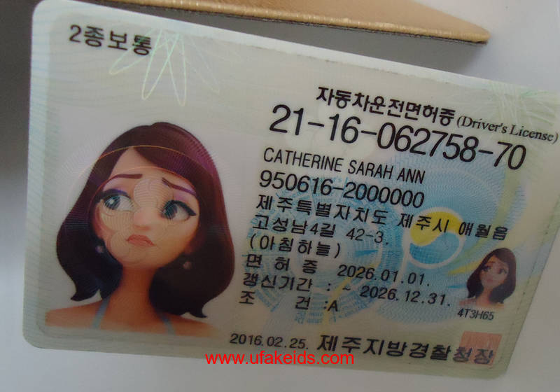 韩国假身份证