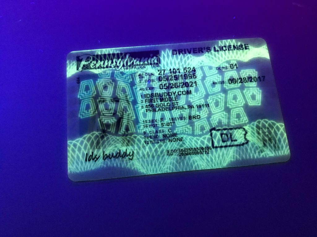 Pennsylvania New Fake ID License