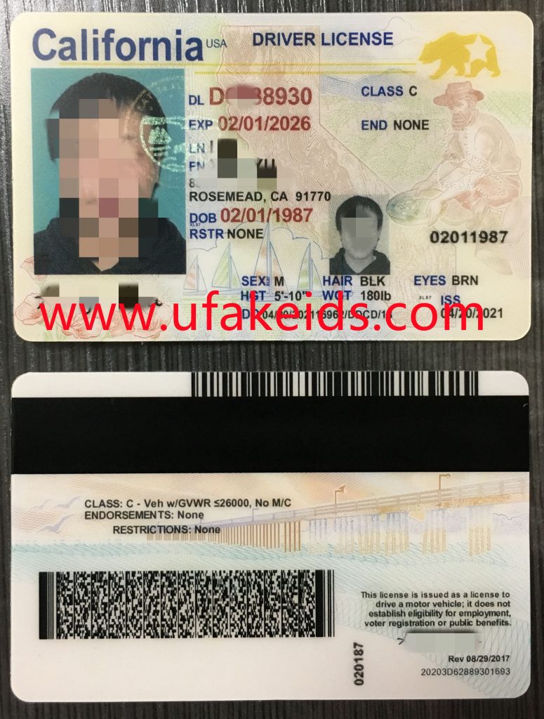 Calidonria Fake Id
