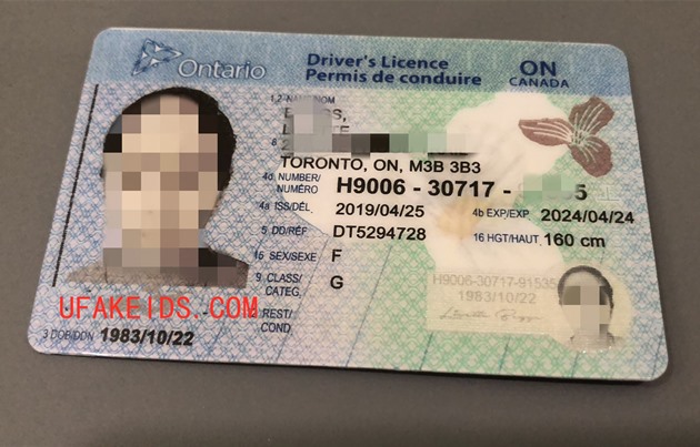 Places To Get Fake Ids In Toronto